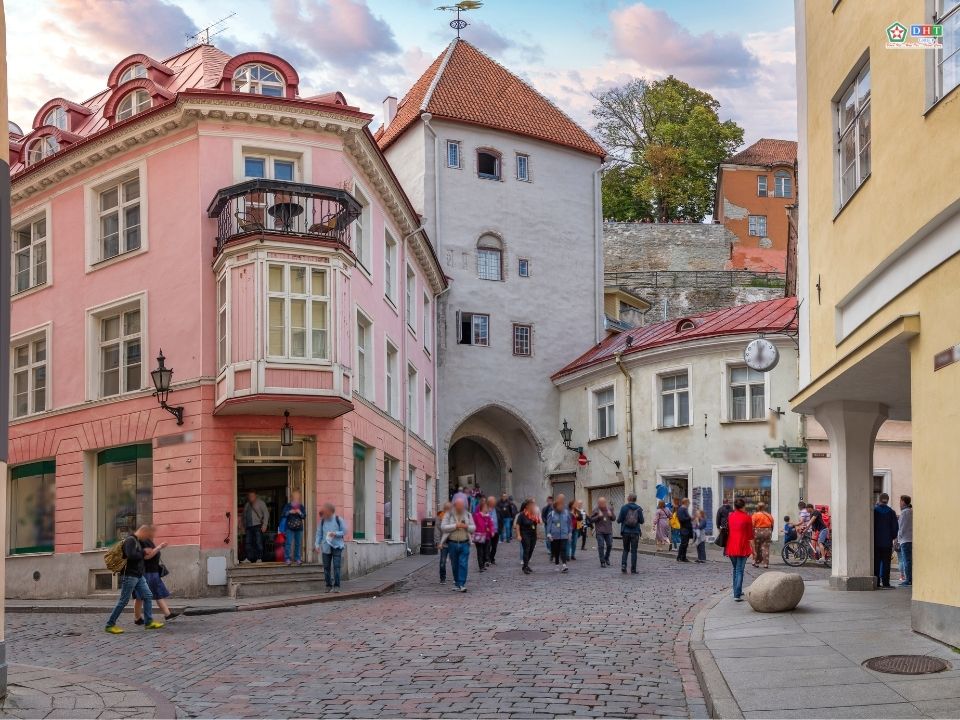 Định cư Lithuania